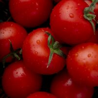 Tomates rondes