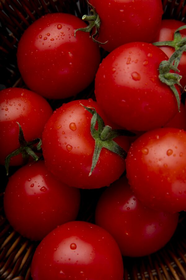Tomates rondes