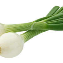 Oignons nouveaux - 250g