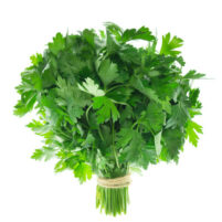 Persil Plat