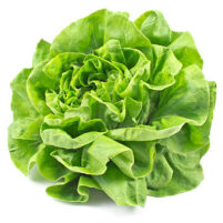 Salade