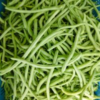 Haricots verts - 500g