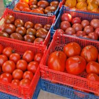 Tomates transfo 5kg