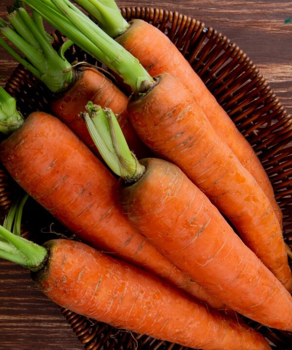 Carottes